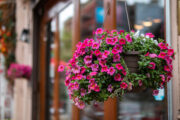 Foto: iStock