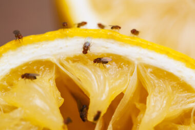Foto: iStock
