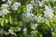Foto: iStock