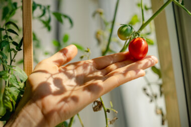 Foto: iStock