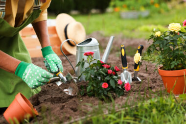 Foto: iStock
