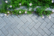 Foto: iStock