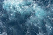 iStock