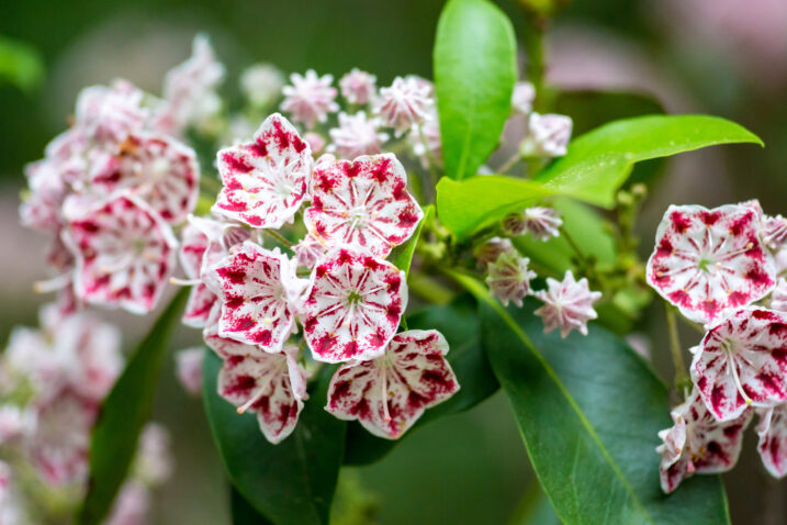 Foto: iStock