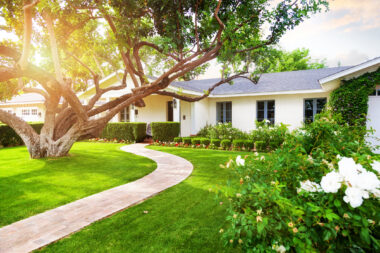 Foto: iStock