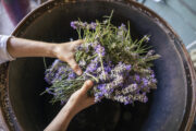 FOTO: iStock