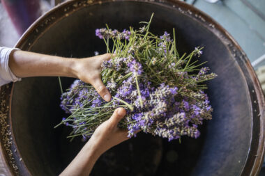 FOTO: iStock