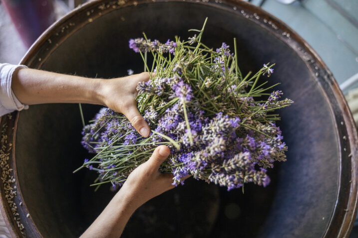 FOTO: iStock