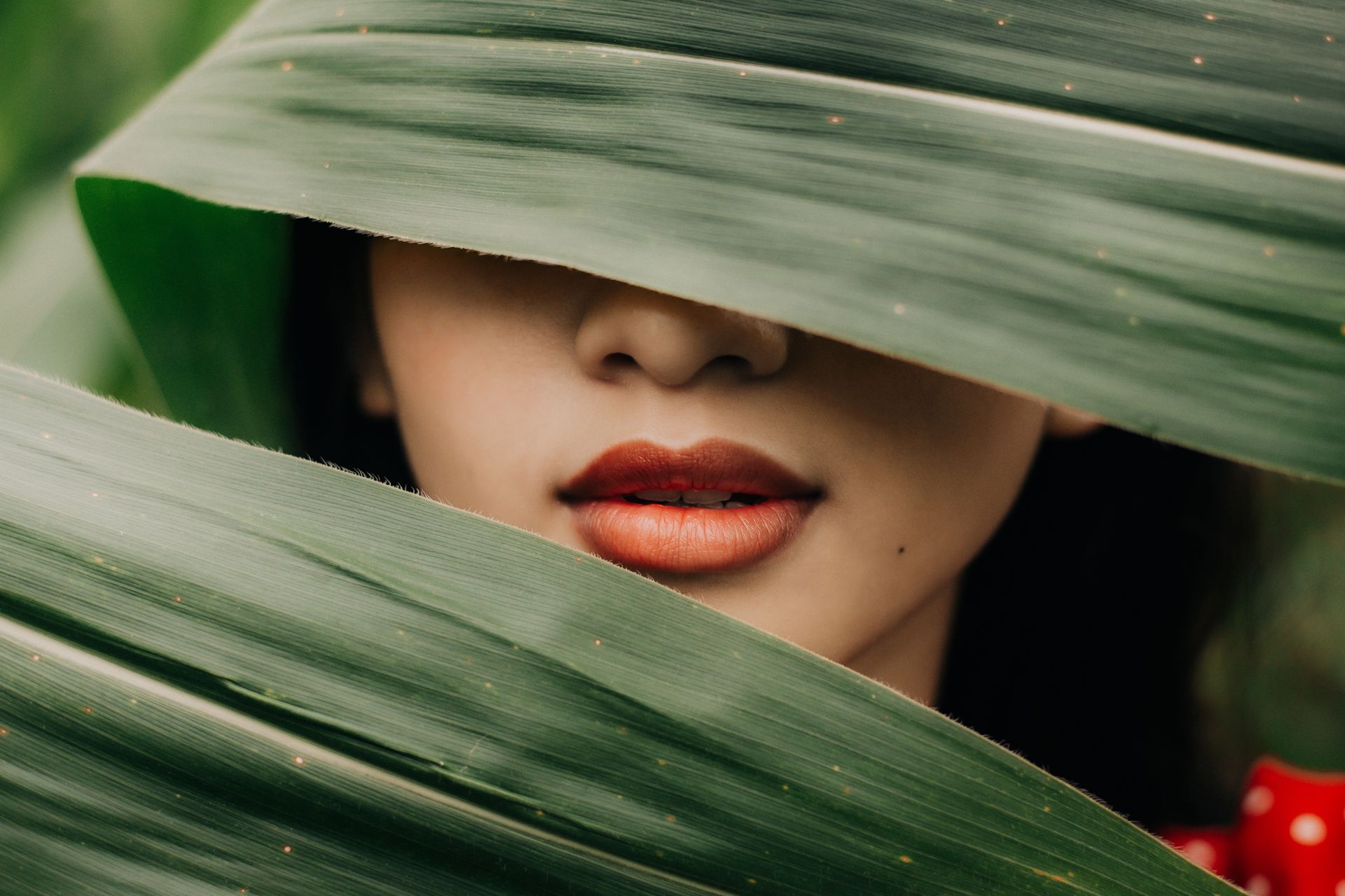 FOTO: Pexels