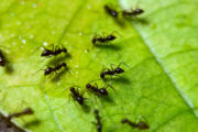 FOTO: iStock