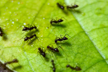 FOTO: iStock