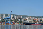 Arhiva NL