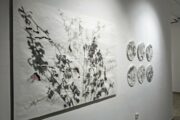 Foto Galerija Laurus