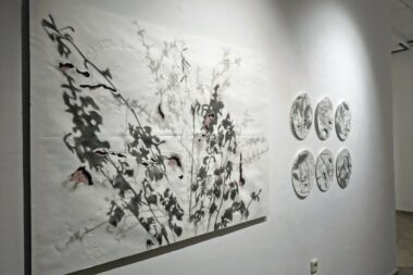 Foto Galerija Laurus