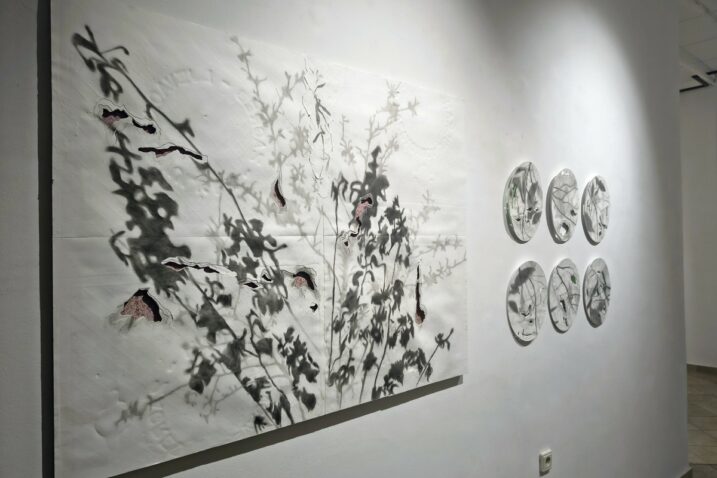 Foto Galerija Laurus