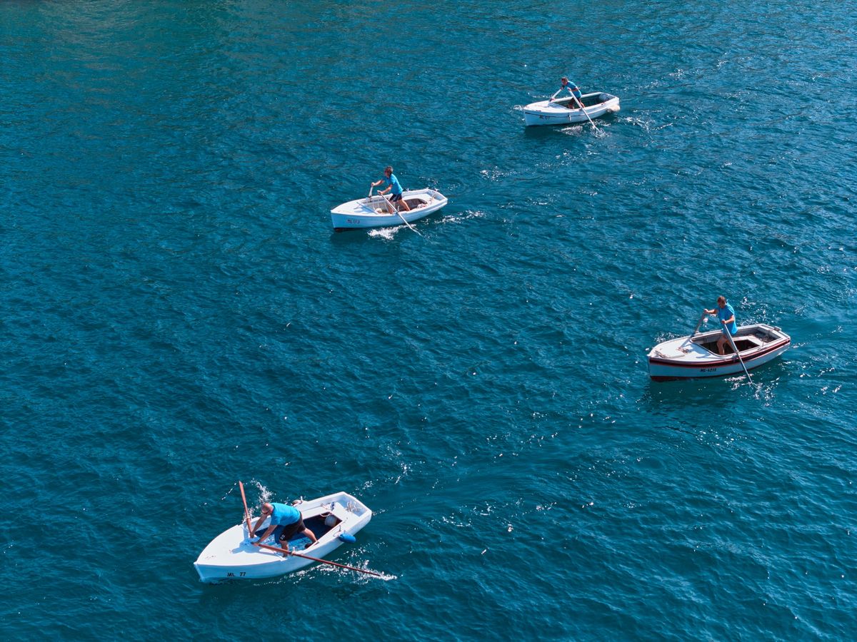Regata pasara na vesla