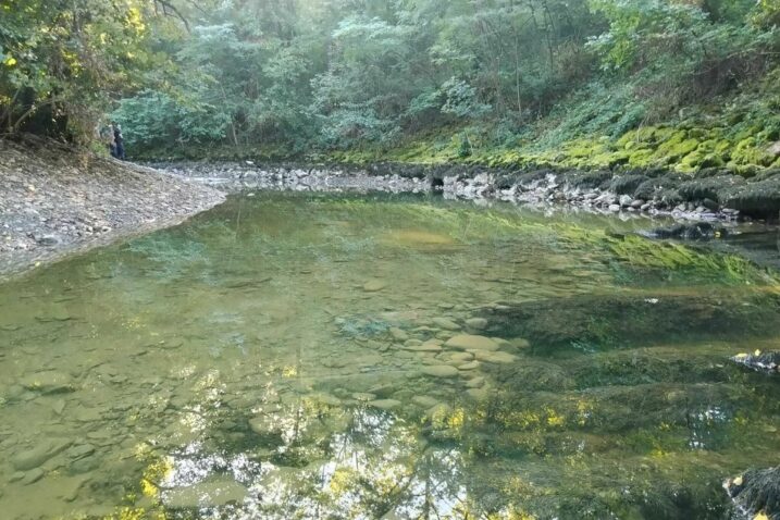 Črni vir na Rječini nakon uklanjanja 430 kubičnih metara nanosa / Foto The Nature Conservancy