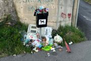 Koševi za pseći izmet puni smeća / Foto Facebook