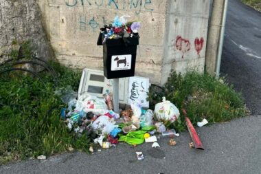 Koševi za pseći izmet puni smeća / Foto Facebook