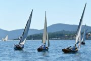 Lanjska Nerezinska regata / Foto Bojan Purić