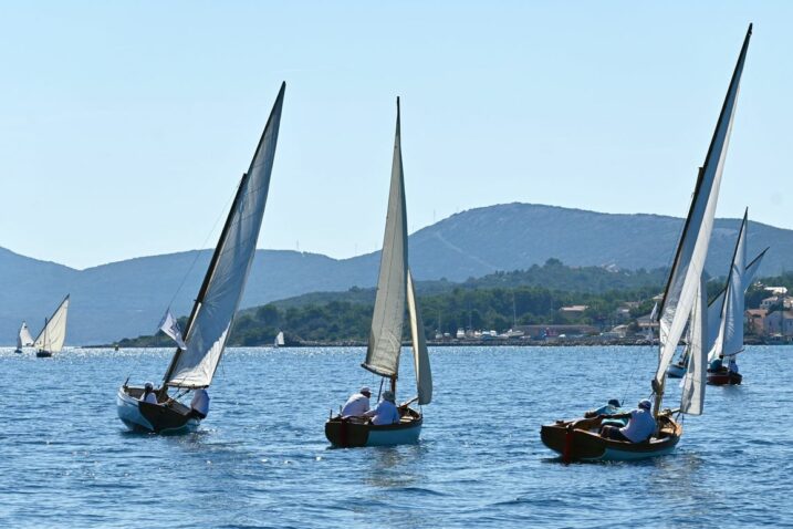 Lanjska Nerezinska regata / Foto Bojan Purić