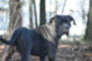 Foto UNSPLASH