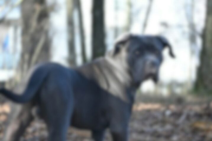 Foto UNSPLASH