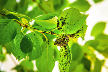 FOTO: iStock