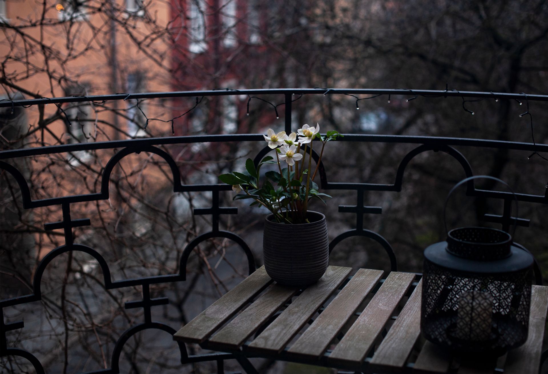 FOTO: Pexels