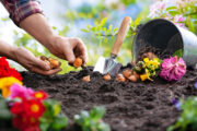 Foto: iStock