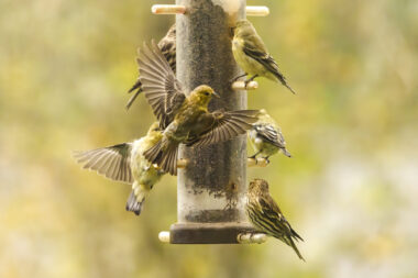Foto: iStock