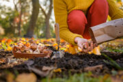 Foto: iStock