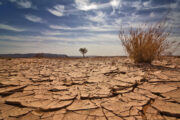 iStock