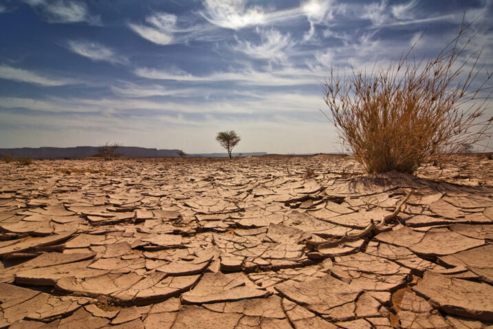 iStock