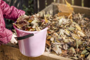 Foto: iStock