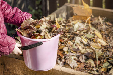 Foto: iStock