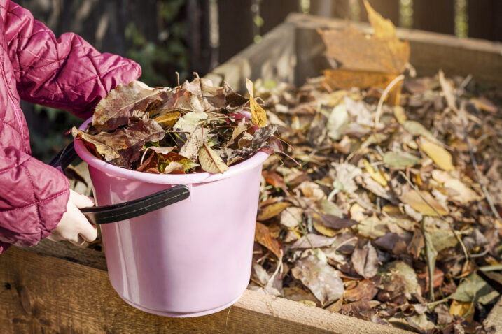 Foto: iStock