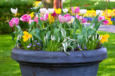 Foto: iStock
