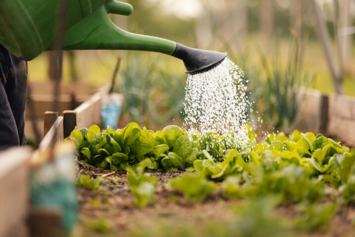 Foto: iStock