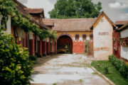 Foto: Šokačka lady