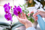 FOTO: iStock