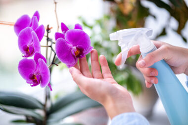 FOTO: iStock