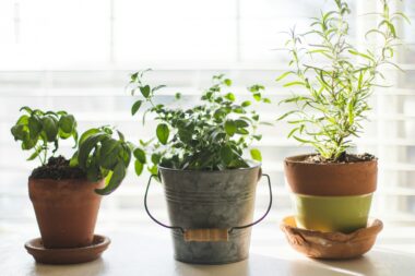 Foto: Unsplash