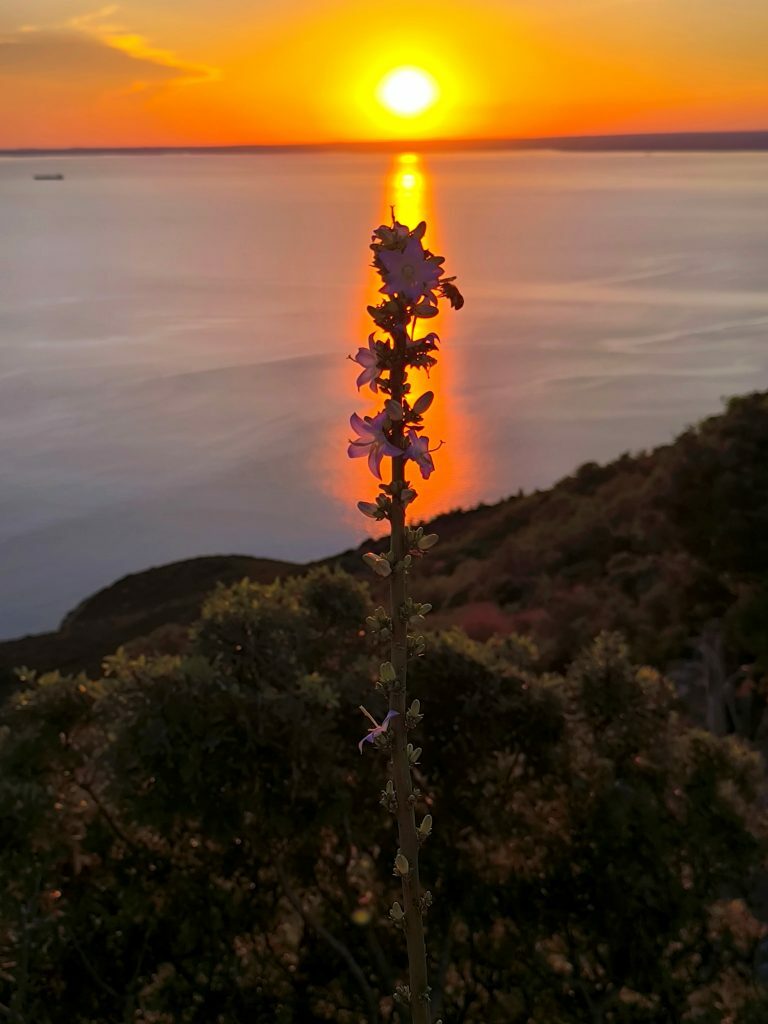 "Kraj ljeta" / Foto Bojana Lilić
