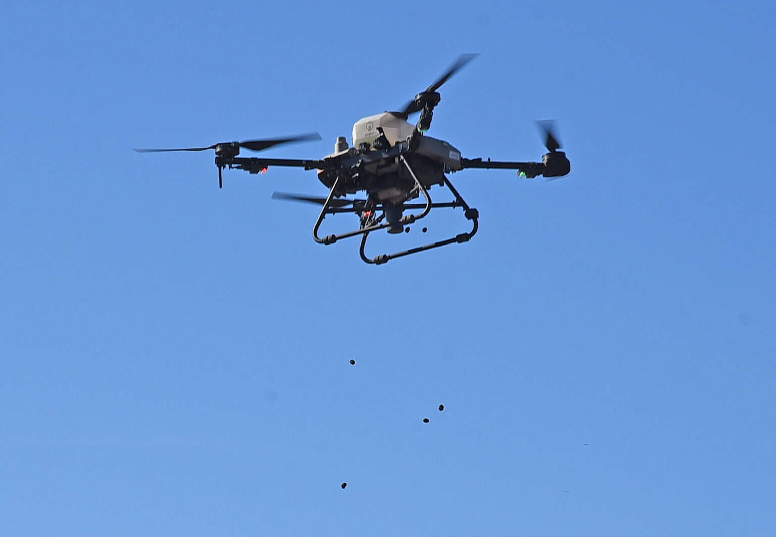 Volonteri pomoću dronova zasadili hektar crnog bora na Marinićima