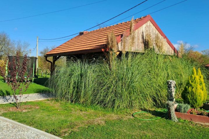 Foto E. Prodan
