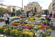 Foto Dean Miculinić