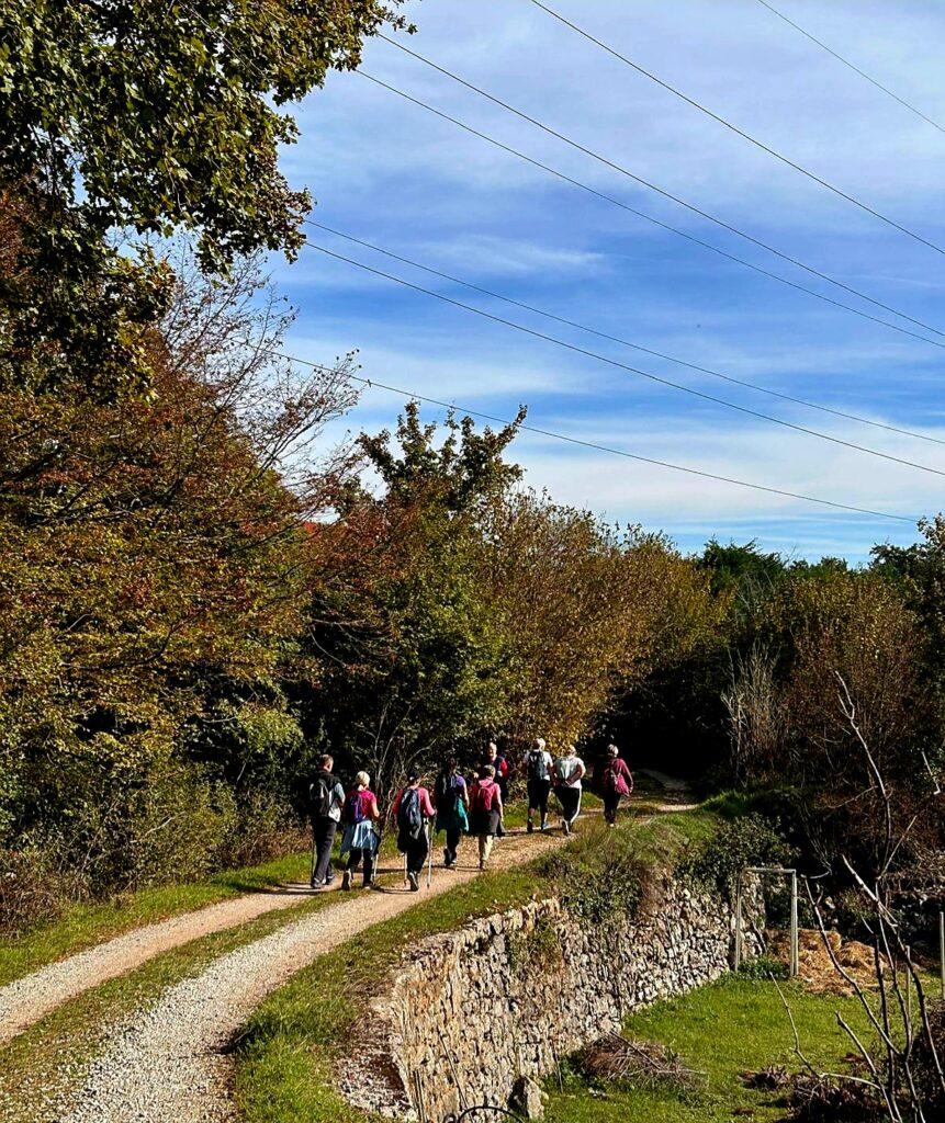 pješačenje, hodanje,nordijsko