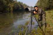 Foto HINA/ Goran Šafarek