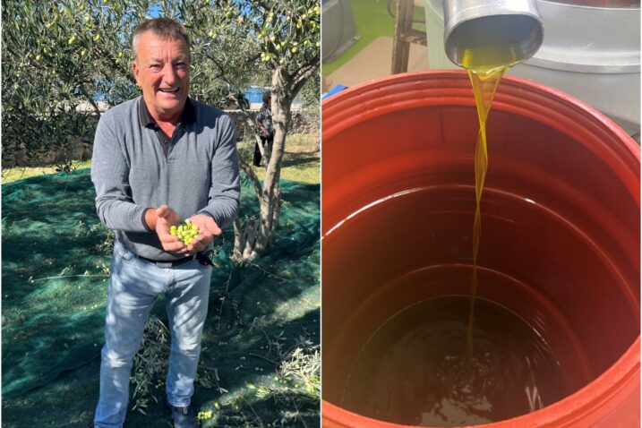 Proveli smo dan s krčkim maslinarima: uz težačku marendu potekle zlaćane kapi ulja